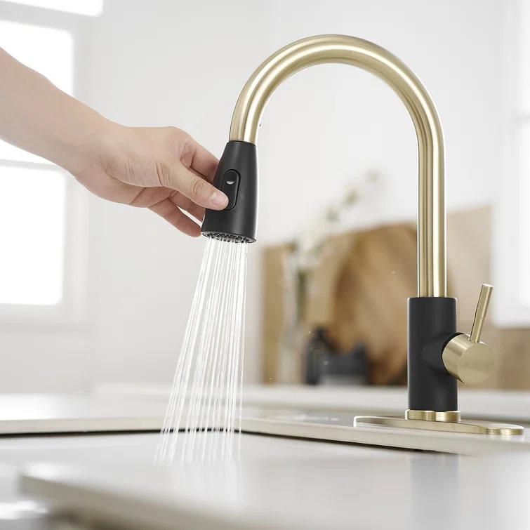 VIBRANTBATH Pull Out Kitchen Faucet