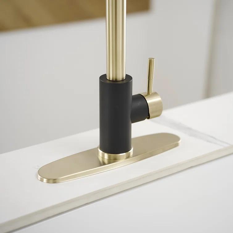 VIBRANTBATH Pull Out Kitchen Faucet