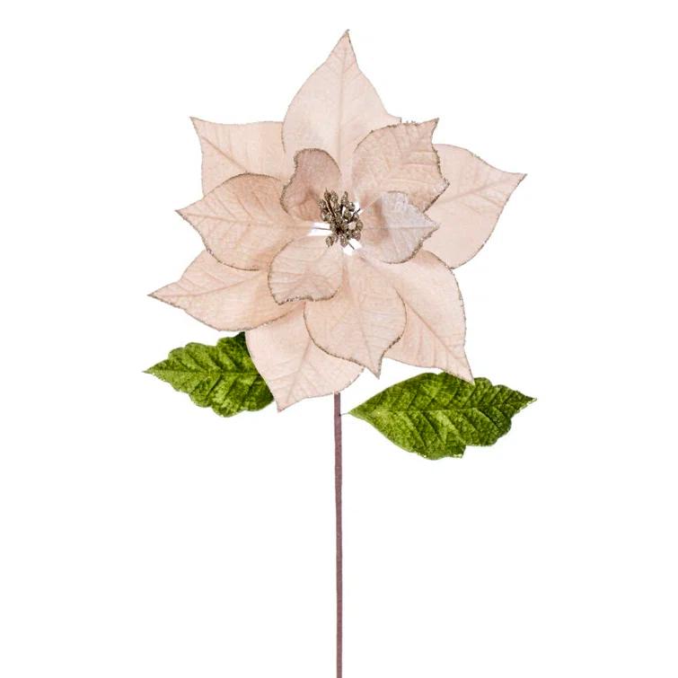 Vickerman 12" x 20" Champagne Classic Velvet Poinsettia Stem. It Includes Four Pieces per Bag.