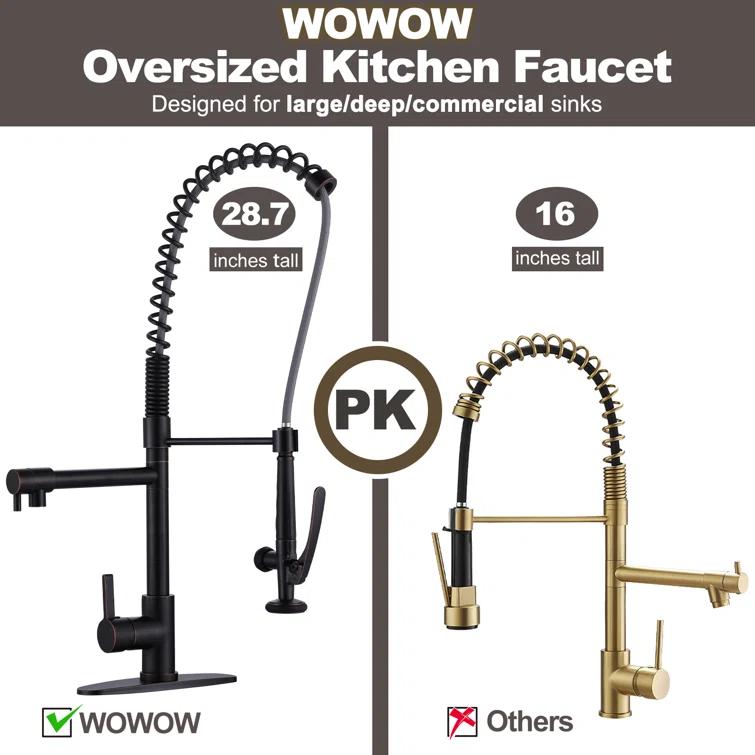 Spring Pull Down Single Handle Kitchen Faucet with Deck Plate and Handles