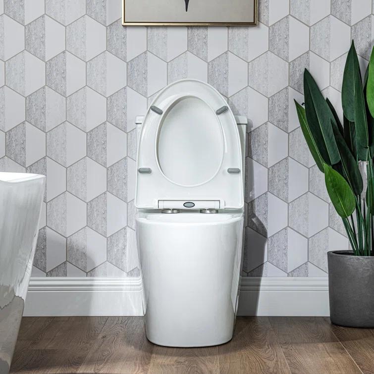 17" Comfort Height StandardToilet, Dual-Flush Modern Elongated One-Piece Toilet with Glazed Surface (Seat lncluded)
