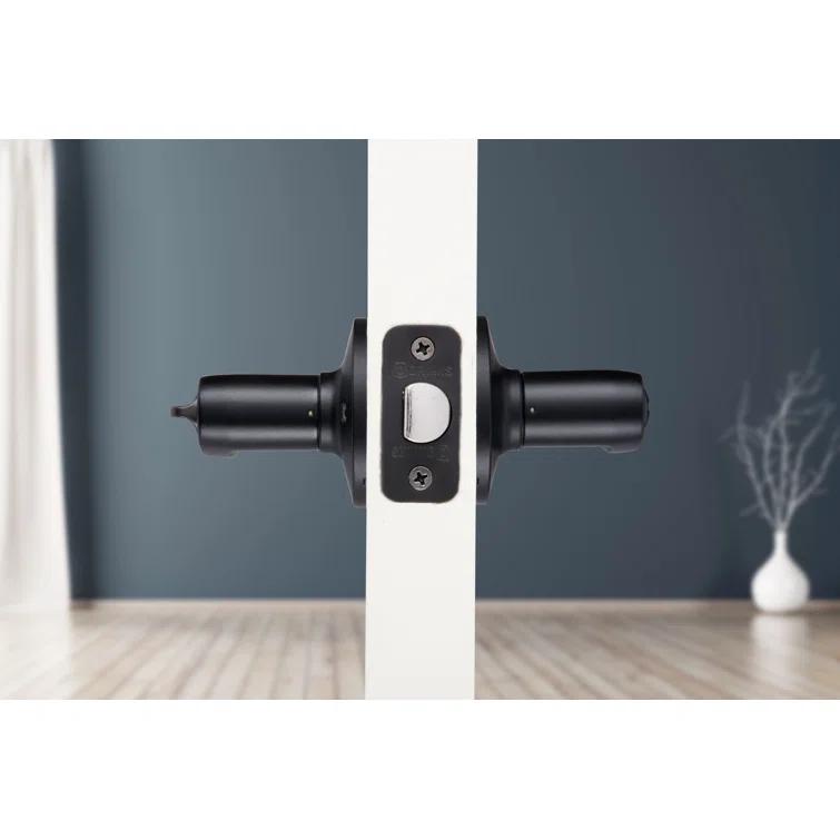 Brinks Raleigh Transitional Privacy Wave Lever