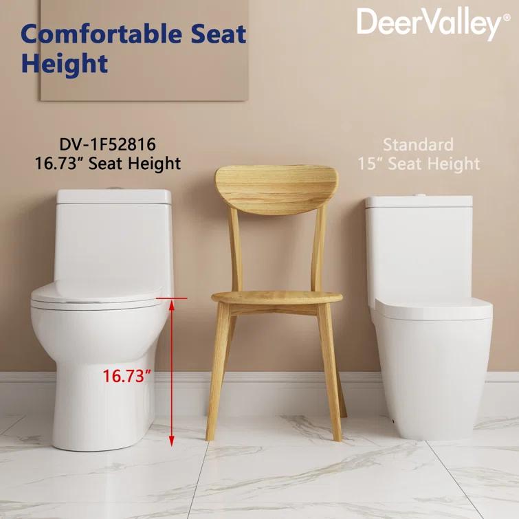 DeerValley Ally Dual-Flush Elongated One-Piece Toilet with Glazed Surface Modern Toilet with Comfort Seat Height  (Seat Included) DV-1F52816-Black