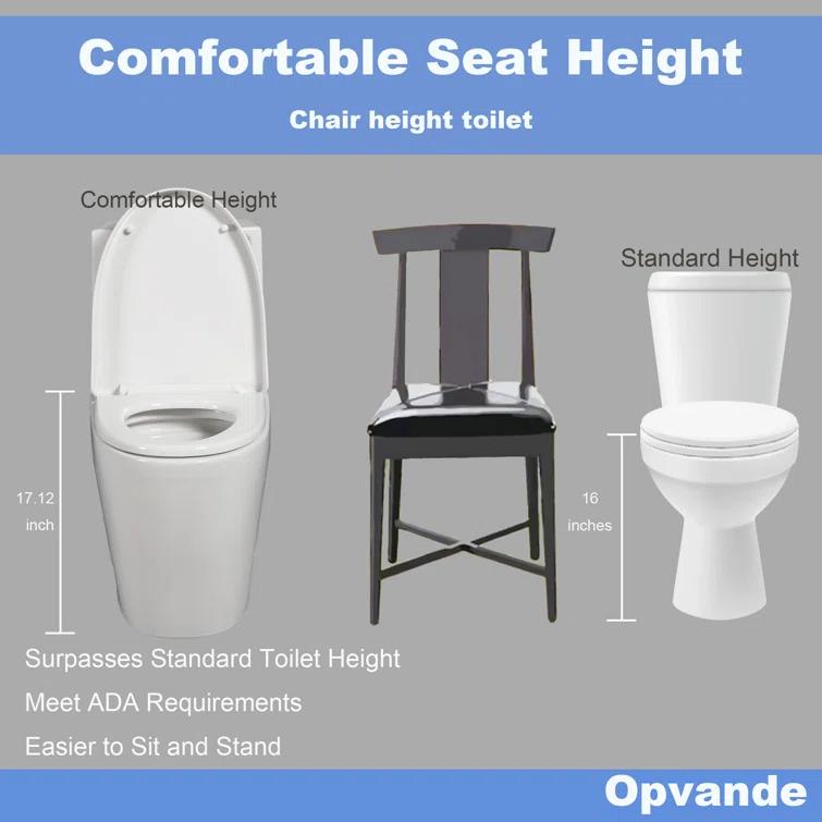 One-Piece 1.1/1.6 Gpf Dual Flush Elongated Toilet In Seat Included