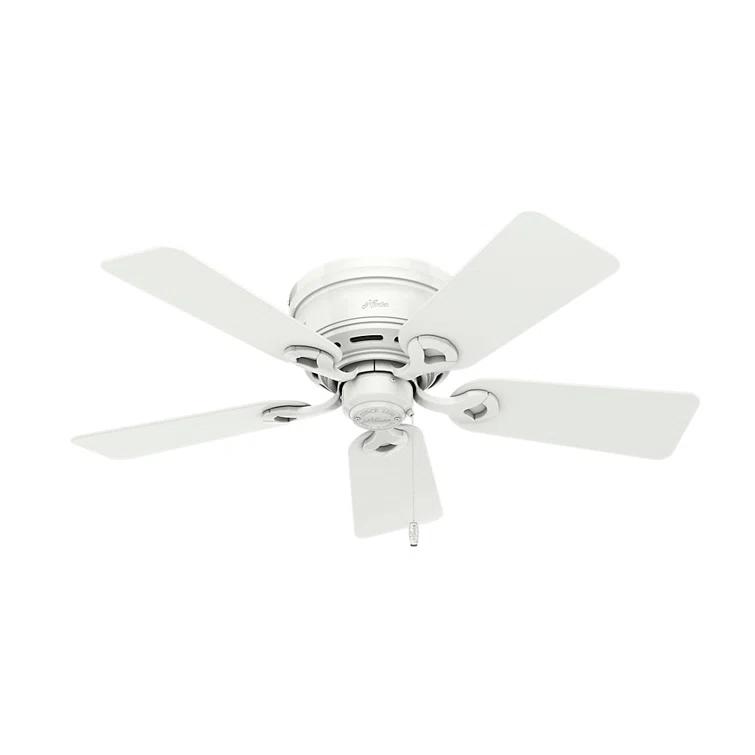42'' Conroy 5 - Blade Flush Mount Ceiling Fan with Pull Chain and Light Kit Included