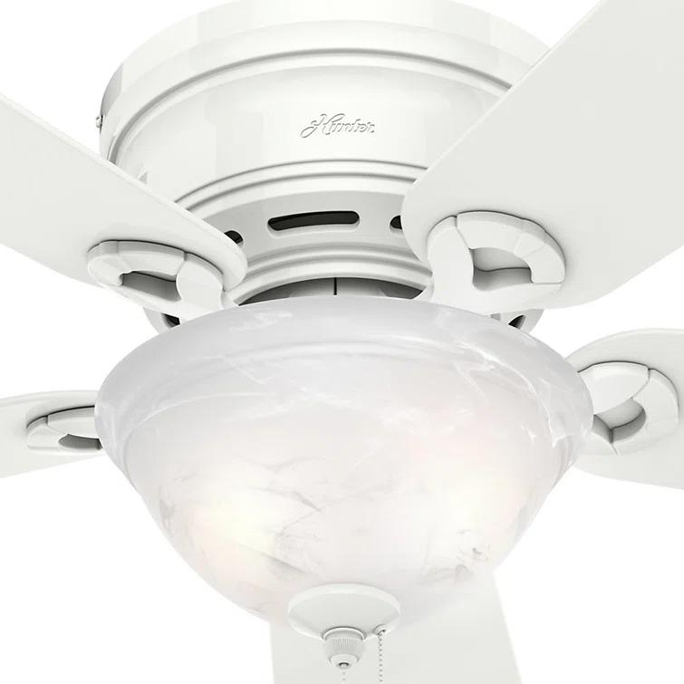 42'' Conroy 5 - Blade Flush Mount Ceiling Fan with Pull Chain and Light Kit Included