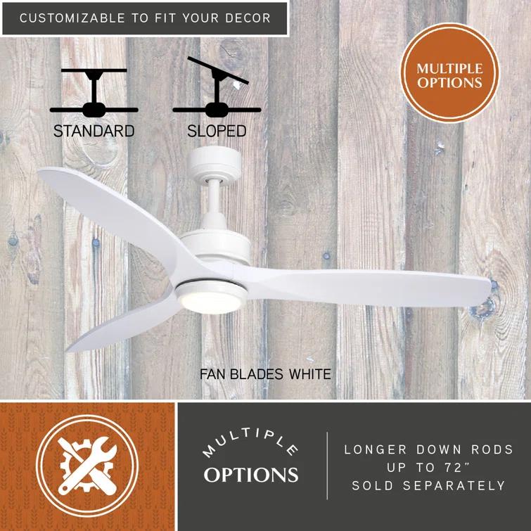 Wade Logan® Ballog 52'' Ceiling Fan with LED Lights