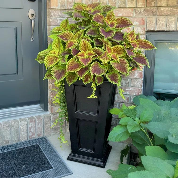 Anastasiya Polyethylene Pot Planter