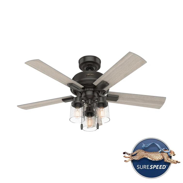 Hunter Fan 44" Hartland 5 - Blade Modern Farmhouse Indoor Ceiling Fan with Lights and Pull Chains & Reviews | Wayfair