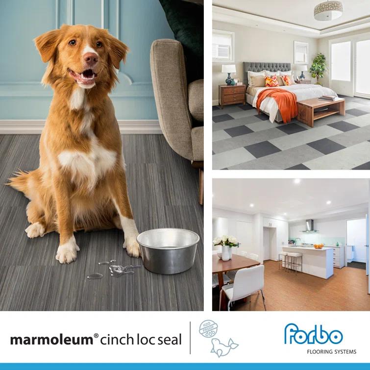 Marmoleum Cinch Loc Seal 11.81” x 11.81” x 9.9mm Laminate Flooring