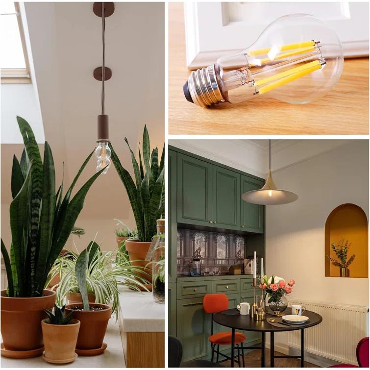 A19 LED Edison Light Bulb 12W Equivalent 100W Dimmable 1600lm 2700K Soft White