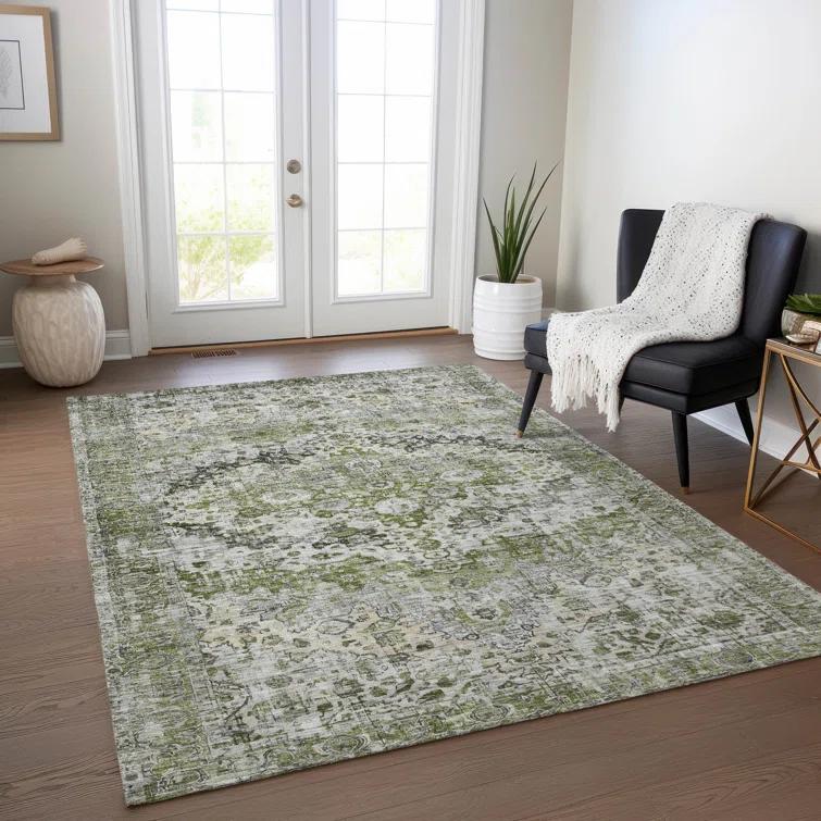 Machine Washable Indoor/Outdoor Chantille Aloe Rug