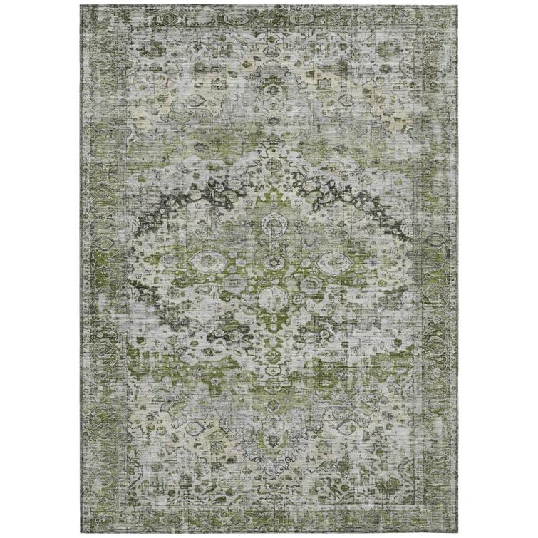 Machine Washable Indoor/Outdoor Chantille Aloe Rug