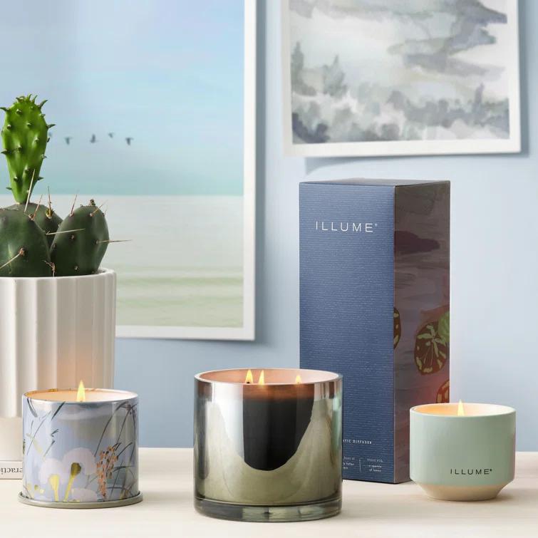 ILLUME Beautifully Done Essentials Hidden Lake Aromatic Diffuser