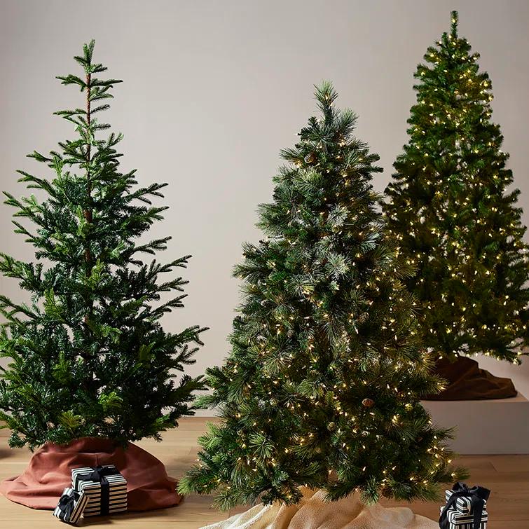 National Tree Company 9' Pre-lit Carolina Pine Artificial Christmas Tree with 900 Clear Lights