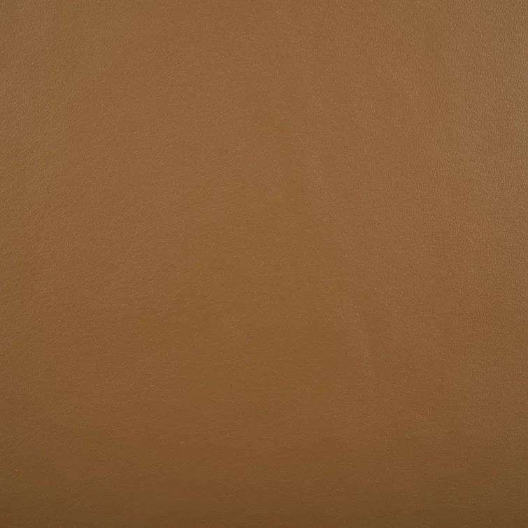 Safavieh Couture Laylie Leather Upholstered Dining Chair | Perigold