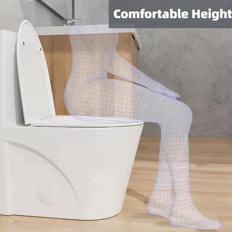 Momei 1.6 GPF Dual-Flush Toilet Modern Elongated One-Piece Toilet (Seat Included)