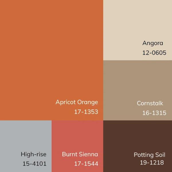 Aaron Hand Tufted Wool Terracotta/Orange/Dusty Sage Rug