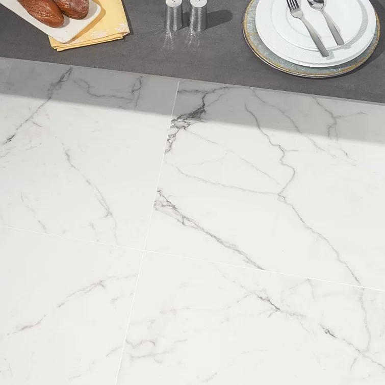24" x 24" Polished Marble Look Porcelain Floor and Wall Tile (15.5 Sq. Ft. / Case)