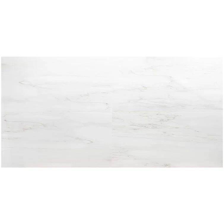 Large Format 24" x 47" Polished Marble Look Porcelain Floor and Wall Tile (15.5 Sq. Ft. / Case)
