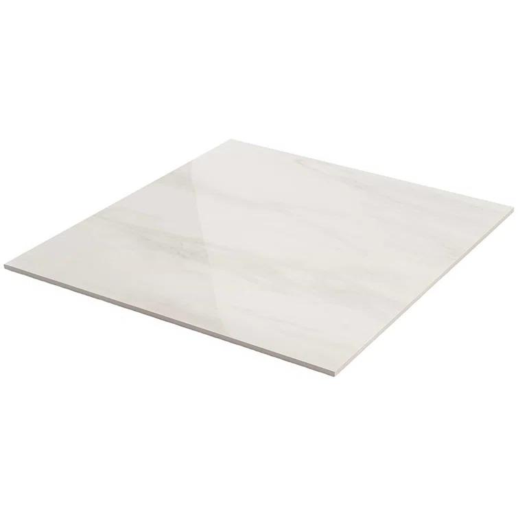 24" x 24" Polished Marble Look Porcelain Floor and Wall Tile (15.5 Sq. Ft. / Case)