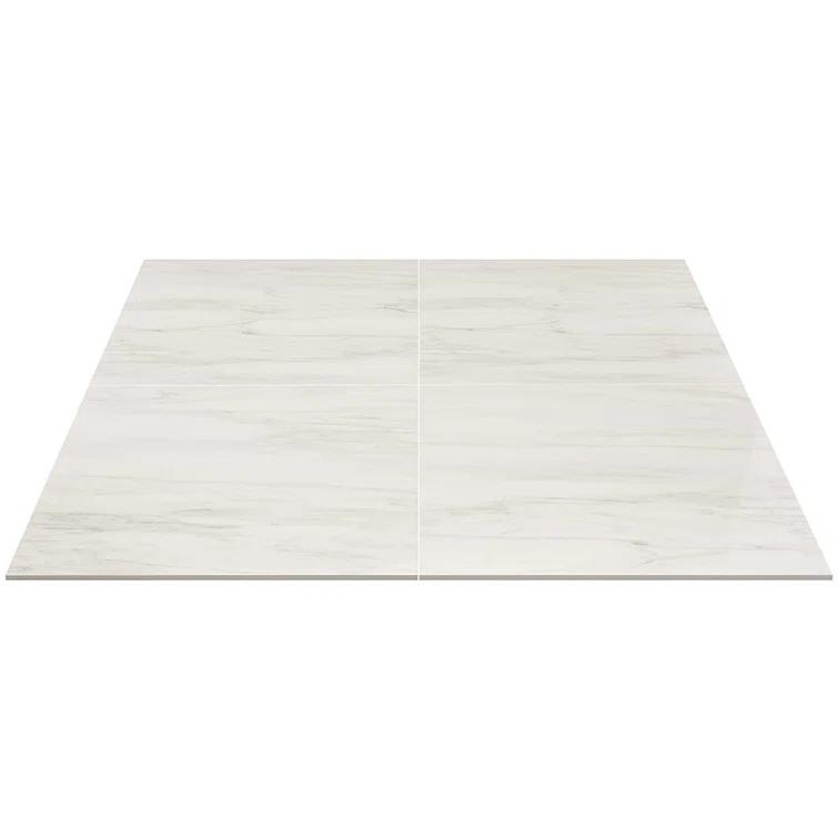 24" x 24" Polished Marble Look Porcelain Floor and Wall Tile (15.5 Sq. Ft. / Case)