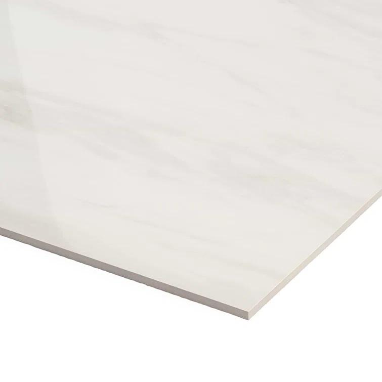 24" x 24" Polished Marble Look Porcelain Floor and Wall Tile (15.5 Sq. Ft. / Case)