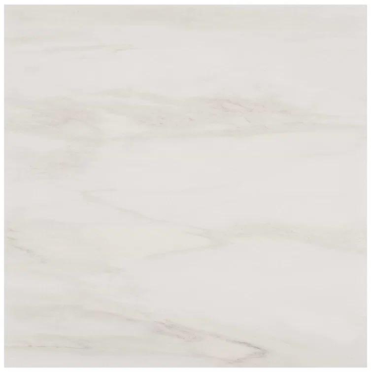 24" x 24" Polished Marble Look Porcelain Floor and Wall Tile (15.5 Sq. Ft. / Case)