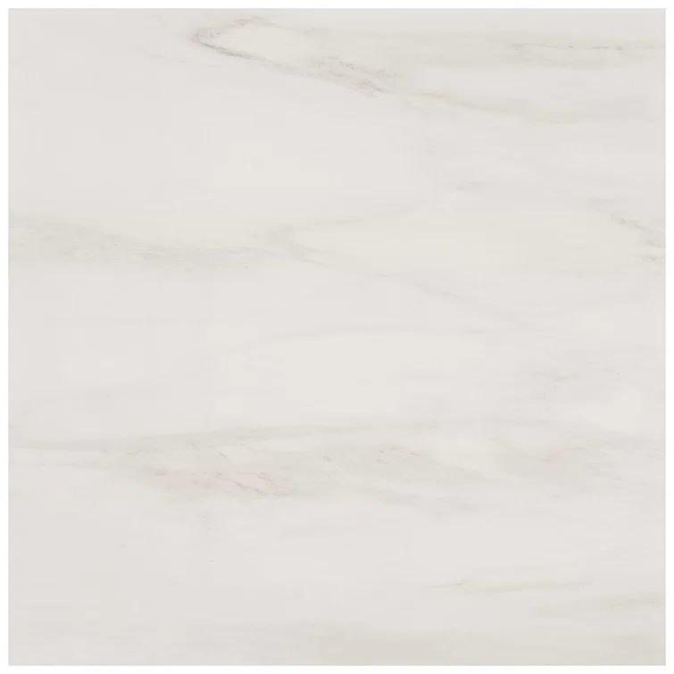 24" x 24" Polished Marble Look Porcelain Floor and Wall Tile (15.5 Sq. Ft. / Case)