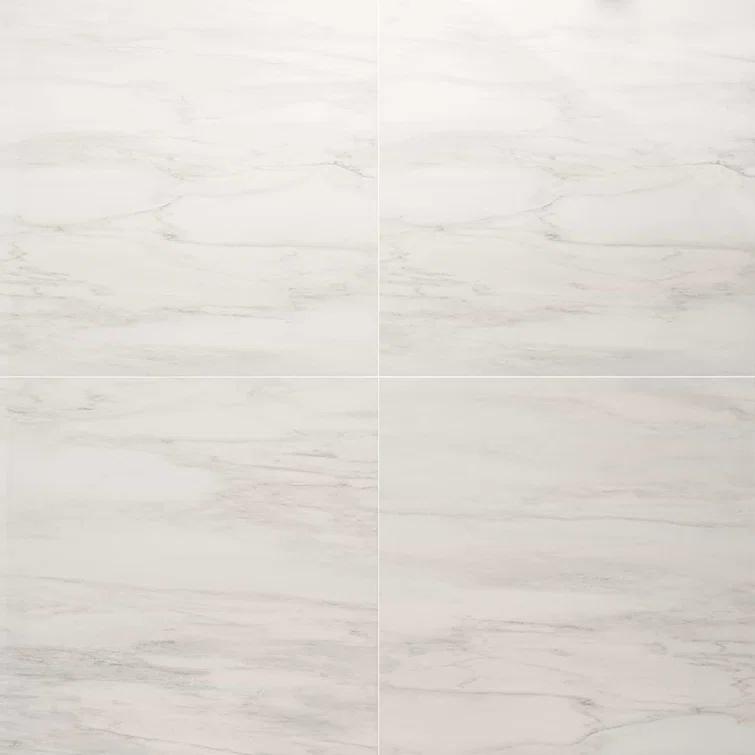 24" x 24" Polished Marble Look Porcelain Floor and Wall Tile (15.5 Sq. Ft. / Case)