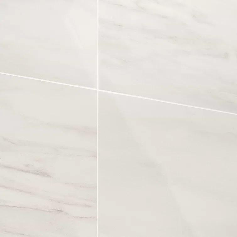 24" x 24" Polished Marble Look Porcelain Floor and Wall Tile (15.5 Sq. Ft. / Case)