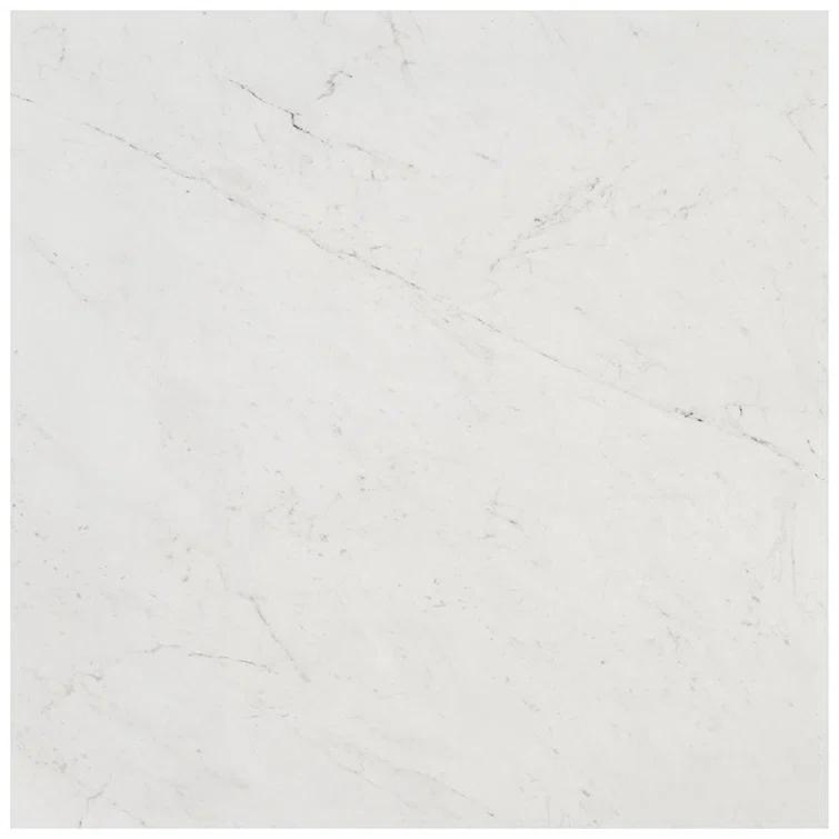 24" x 24" Polished Marble Look Porcelain Floor and Wall Tile (15.5 Sq. Ft. / Case)