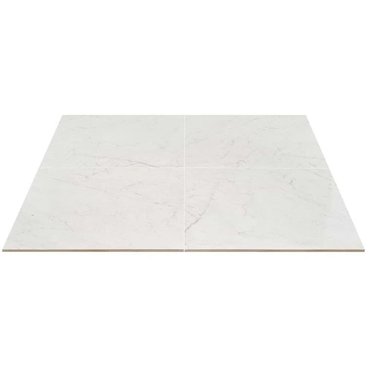 24" x 24" Polished Marble Look Porcelain Floor and Wall Tile (15.5 Sq. Ft. / Case)