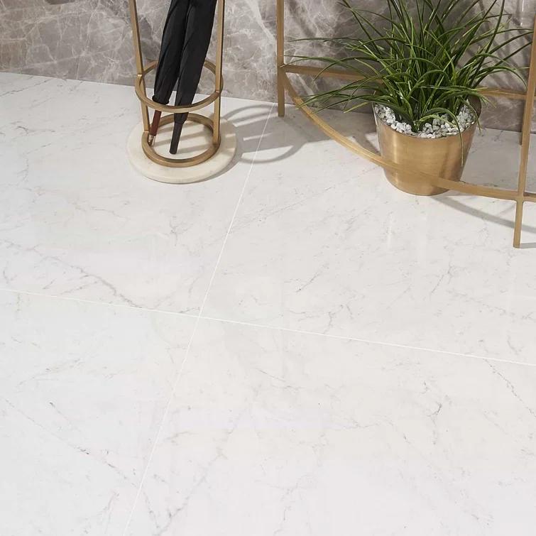 24" x 24" Polished Marble Look Porcelain Floor and Wall Tile (15.5 Sq. Ft. / Case)