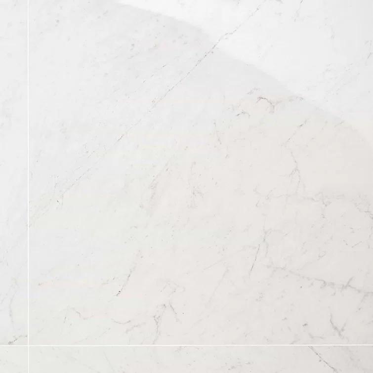 24" x 24" Polished Marble Look Porcelain Floor and Wall Tile (15.5 Sq. Ft. / Case)