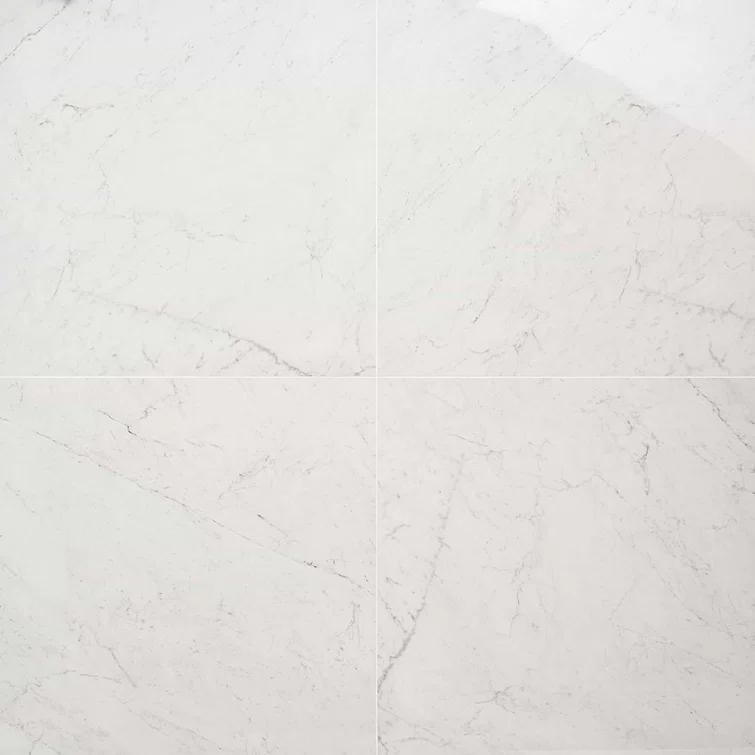 24" x 24" Polished Marble Look Porcelain Floor and Wall Tile (15.5 Sq. Ft. / Case)