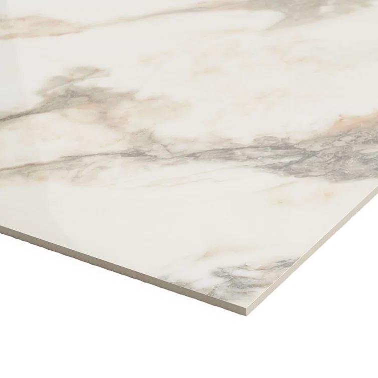 24" x 24" Polished Marble Look Porcelain Floor and Wall Tile (15.5 Sq. Ft. / Case)