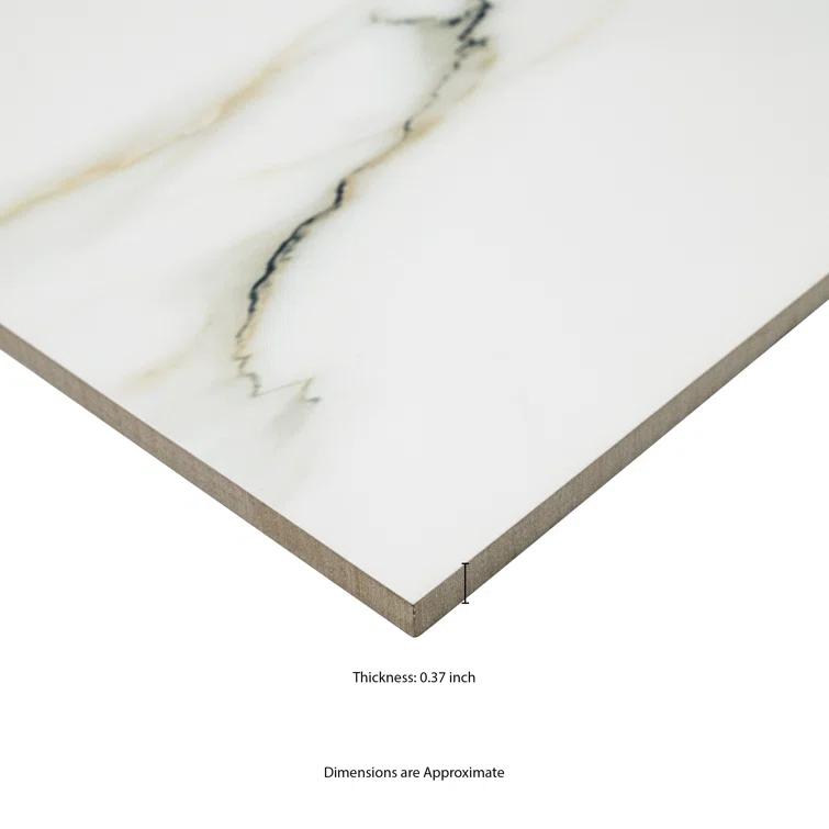 Ackland Azira 24 in. x 24 in. Stone Look Polished Porcelain Floor and Wall Tile