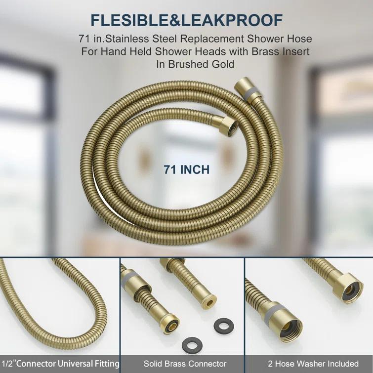 VIBRANTBATH 71 In. Modern Flexible Handheld Shower Hose Replacement For Bathing Toilet Cleaning Pet With Brass Fitting In Chrome 180-BG