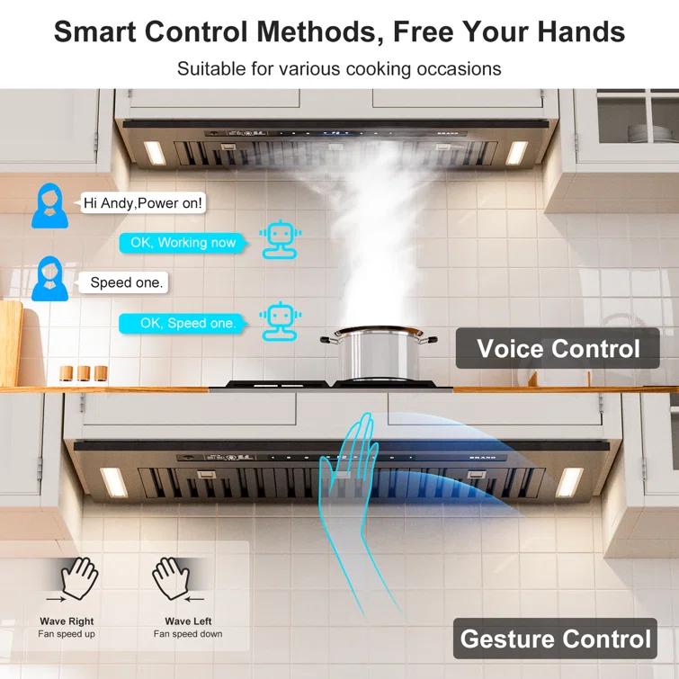 36 In. 900 Cfm Insert Range Hood In Black Stainless Steel With Dishwasher Filter