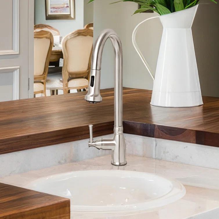Whitehaus Collection Stainless Steel Single Lever Gooseneck Kitchen Faucet with Pull-down Spray Head