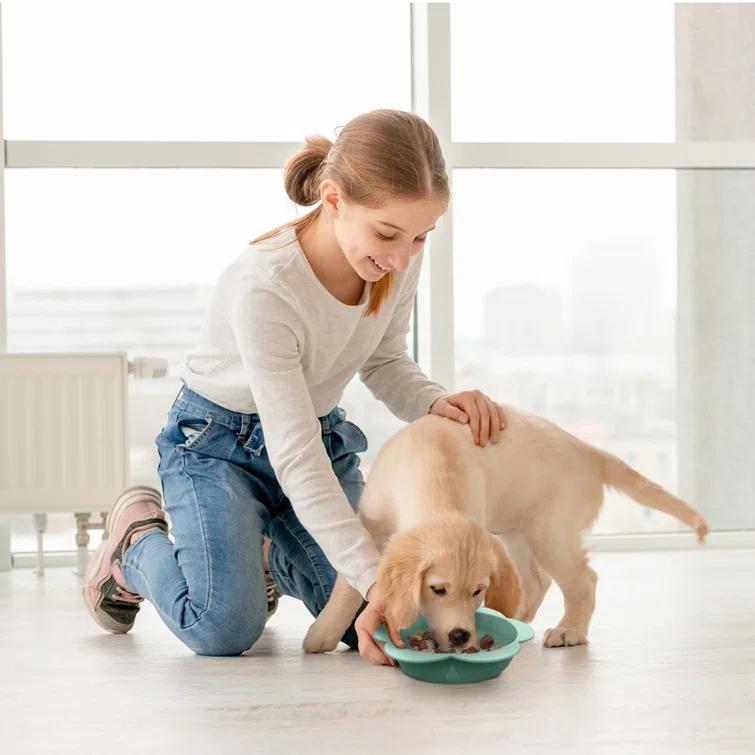 Precious Tails P.t. Supply Co. Small Flower-shaped Silicone Pet Bowl With Non-slip Suction Base
