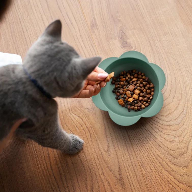 Precious Tails P.t. Supply Co. Small Flower-shaped Silicone Pet Bowl With Non-slip Suction Base