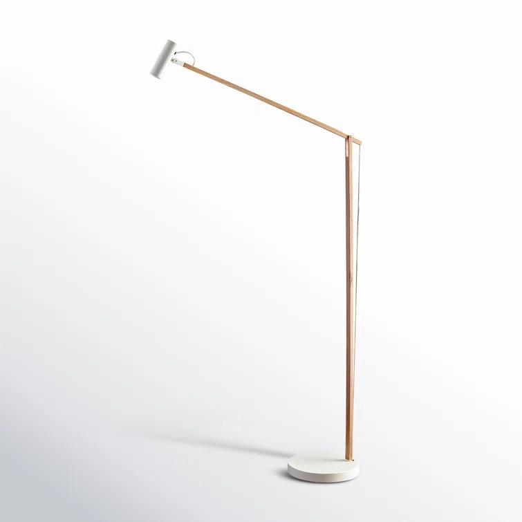 Dalila 60.5'' Dimmable LED Floor Lamp