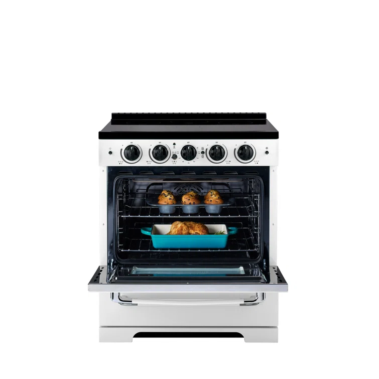Unique 30' Classic Retro Induction Range, Summer