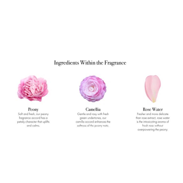 LAFCO New York Duchess Peony Classic Signature Candle & Reviews | Wayfair