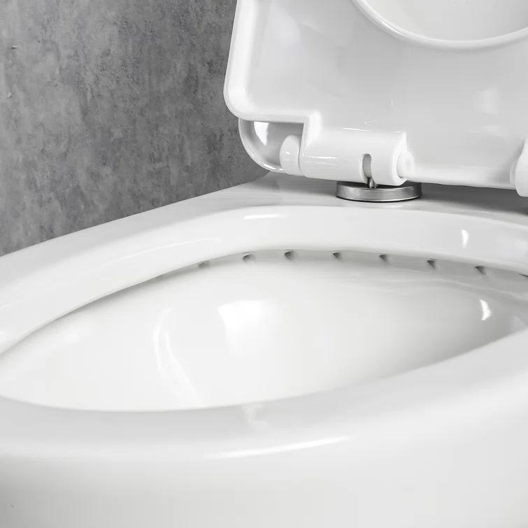 1-Piece 0.8/1.28 GPF Dual Flush Elongated Modern Toilet Soft Closing Seat, Quick Release In White Seat Included
