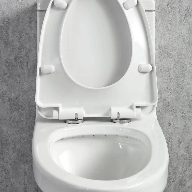 1-Piece 0.8/1.28 GPF Dual Flush Elongated Modern Toilet Soft Closing Seat, Quick Release In White Seat Included