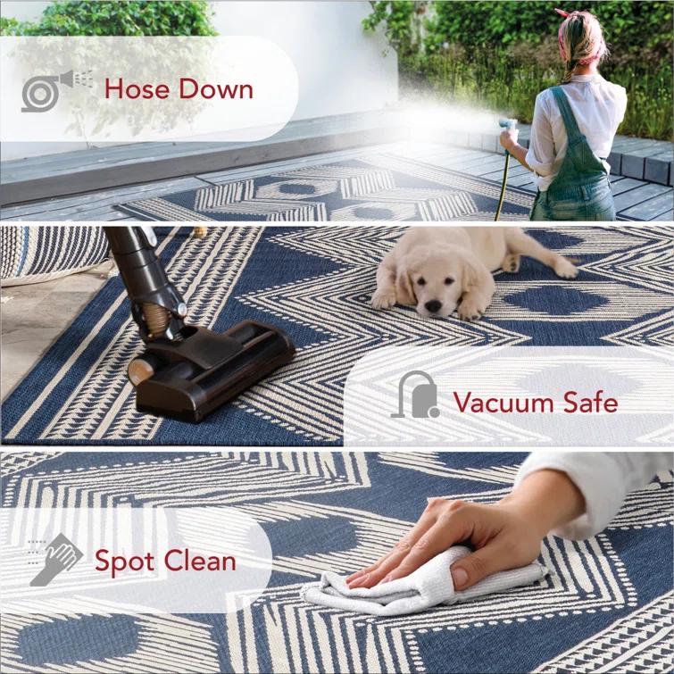 Alvina Blue Indoor/Outdoor Area Rug