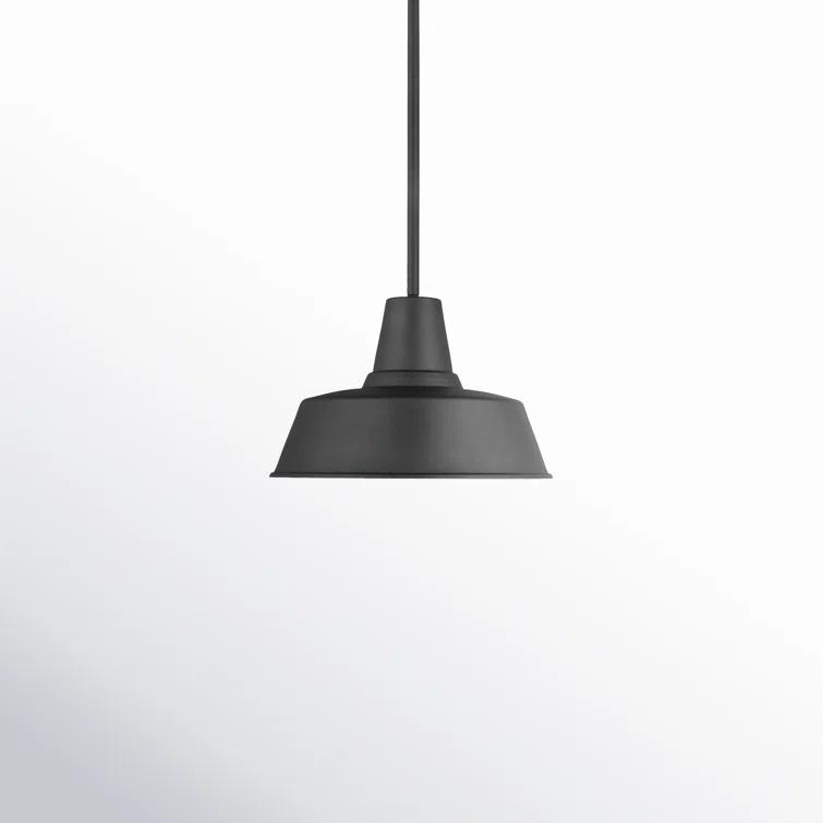 Fisher Outdoor Pendant Light - Black / 14" Dia